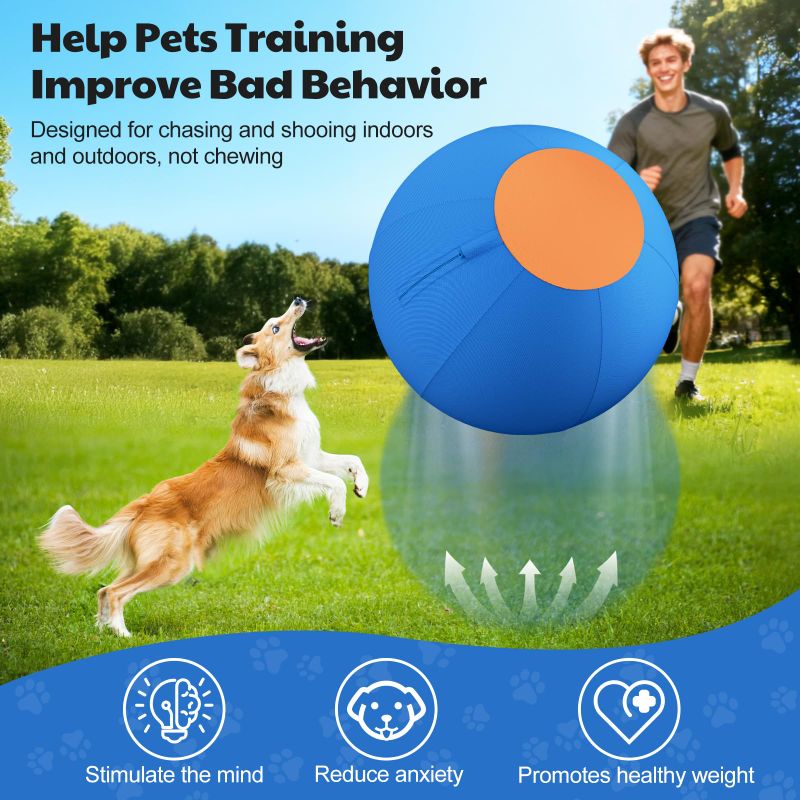 Herding Ball for Dogs with Dual-Layer Shell