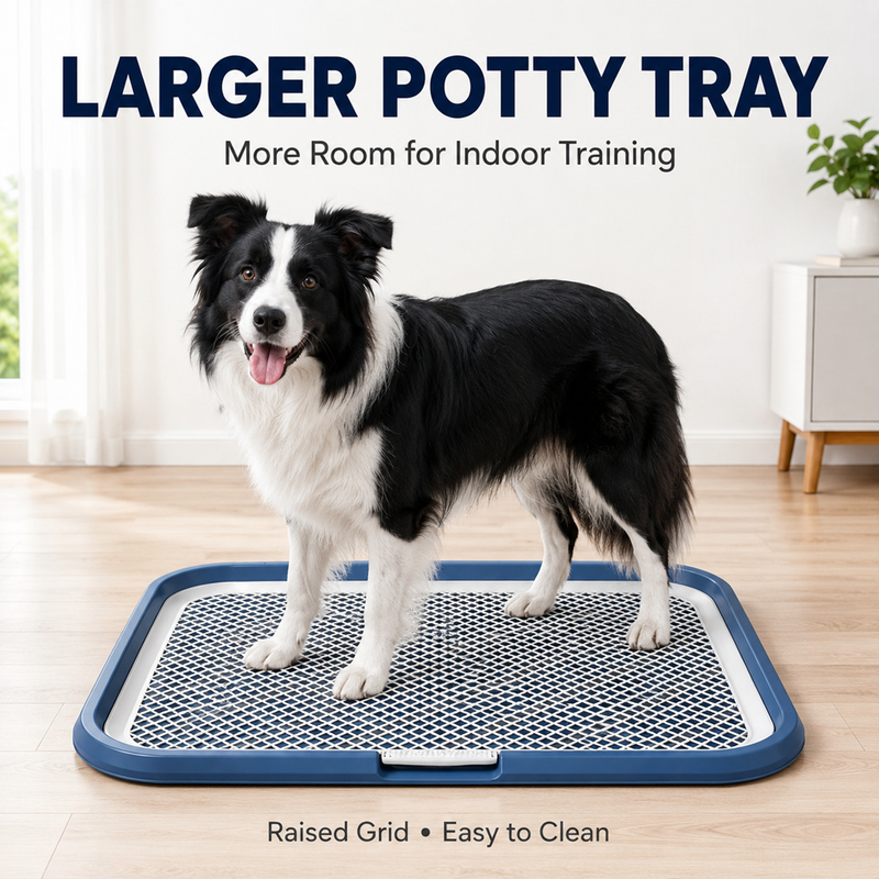 Leak-Proof Indoor Dog Potty Tray with Removable Mesh Grate