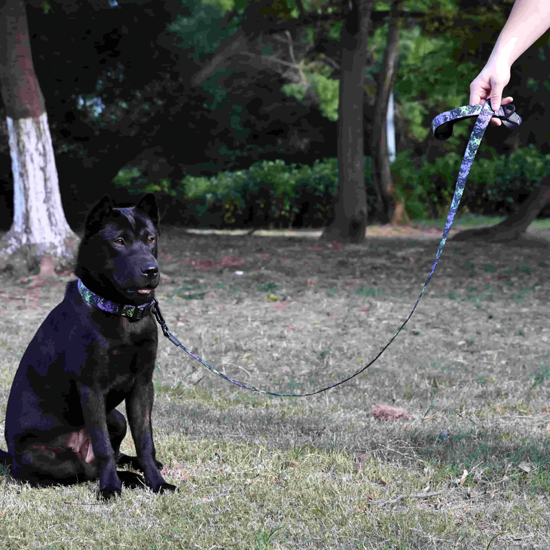 Embossed PVC Dog Leash & Collar Set for Small Dogs