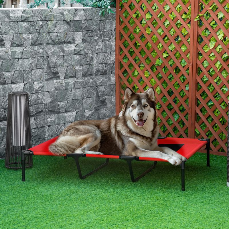 XL Elevated Dog Bed with Mesh Top and Carry Bag