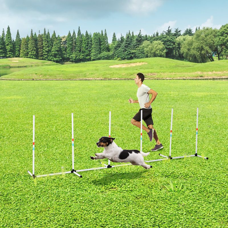 Dog Agility Weave Poles Training Set with Storage Bag