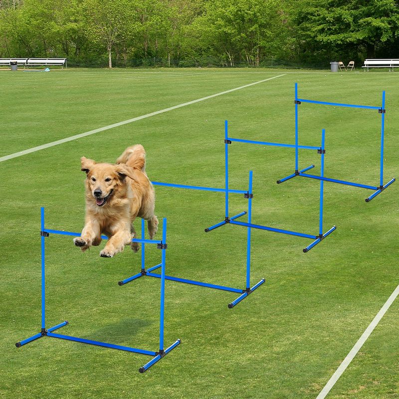 4-Piece Dog Agility Starter Kit with Adjustable Jumps, Blue