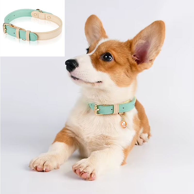 Adjustable Dog Collar, Sizes S/M/L