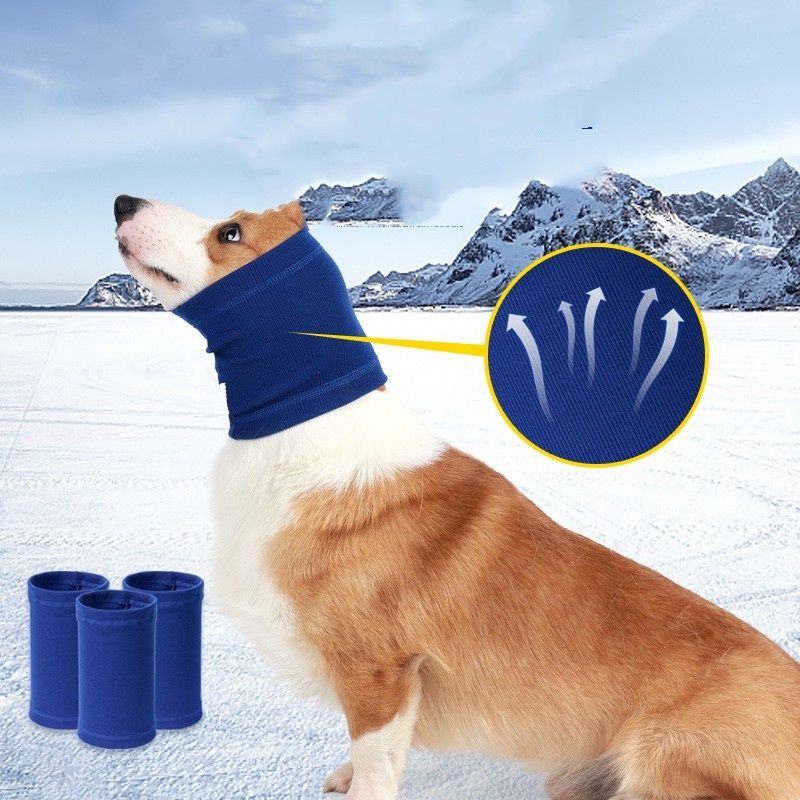 Dog Headband Scarf