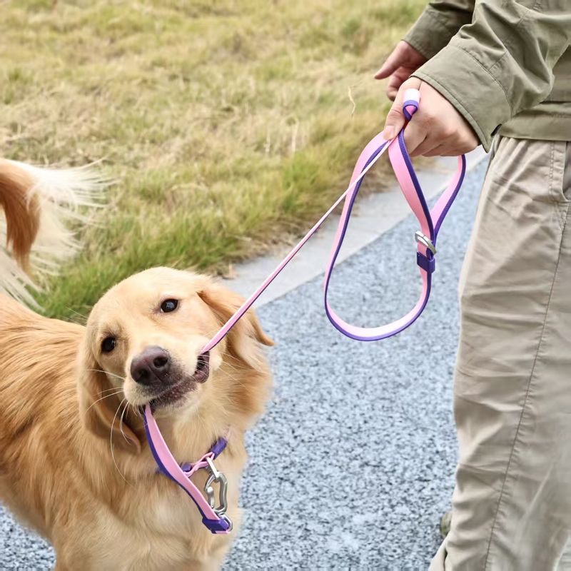 Dual-Color Embossed Dog Leash Set