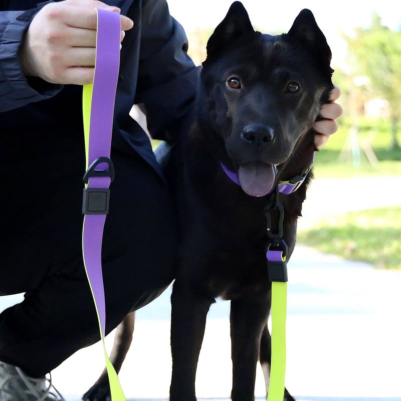 Honeycomb Embossed Dual-Color Dog Leash Set