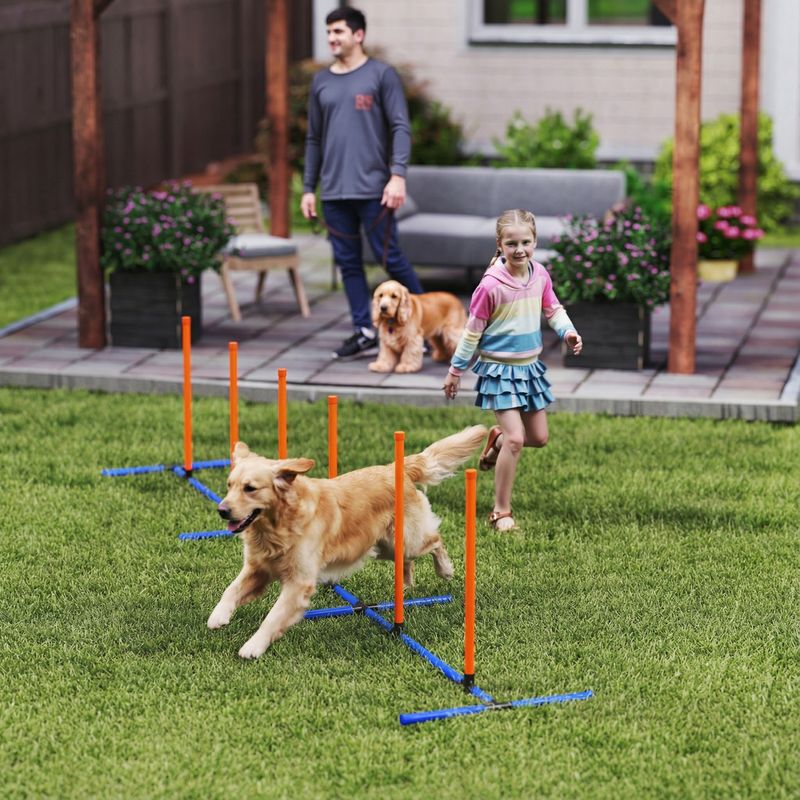 Dog Agility Course Set with Adjustable Poles and Carry Bag