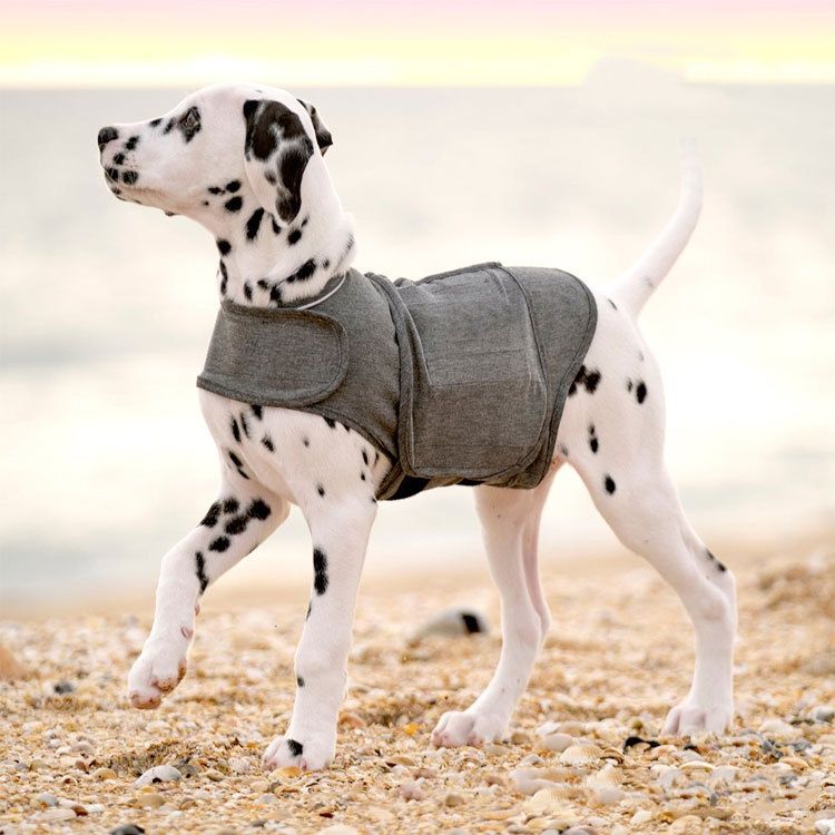 Warm Dog Vest Jacket
