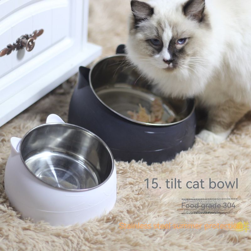 Stainless Steel Double Pet Bowl with Slanted Mouth