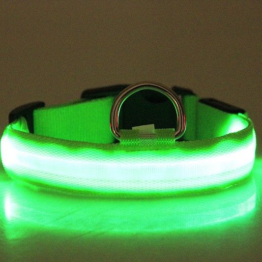 LED Light-Up Dog Collar for Night Walks