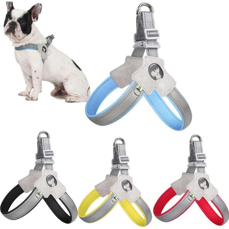 Adjustable No-Pull Dog Harness & Leash Set