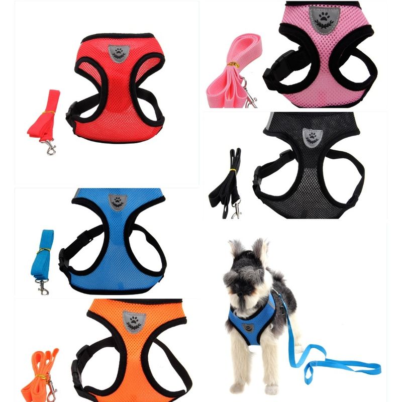 Mesh Dog Harness, Multi-Color