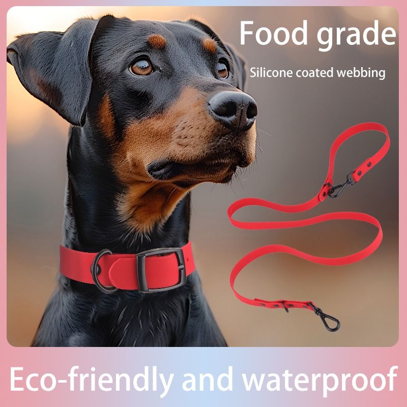Silicone Dog Collar & Leash Set, Waterproof