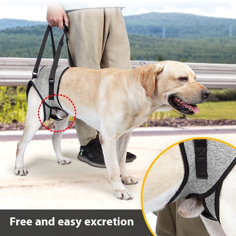 Rear Support Leg Strap for Senior Dogs