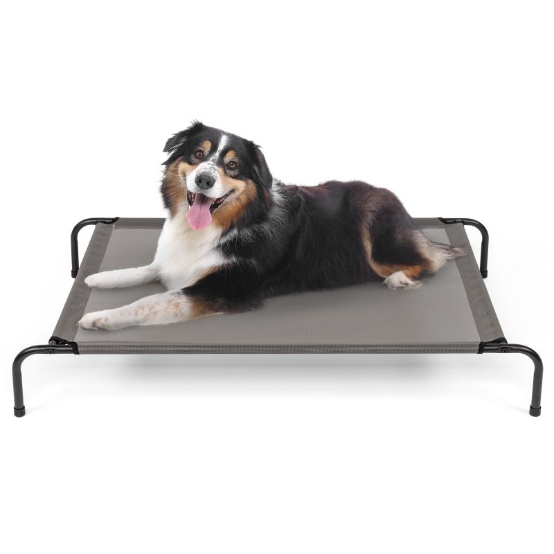 Elevated Dog Bed for Indoor & Outdoor Use