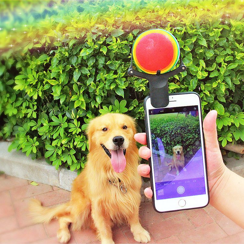 Pet Selfie Phone Clip with Tennis Ball Holder