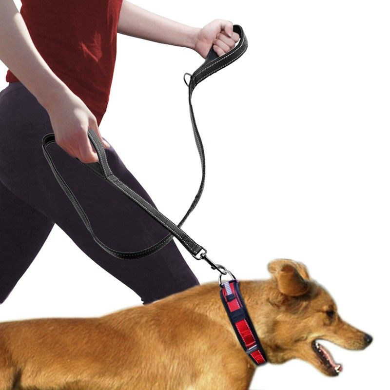 Double-Handle Reflective Dog Leash