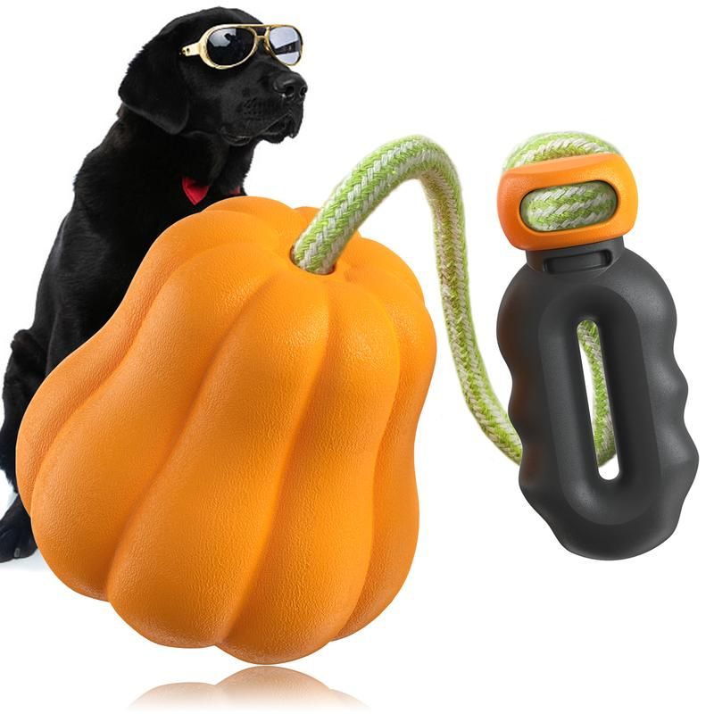 Rope Fetch & Tug Toy for Medium to Large Dogs