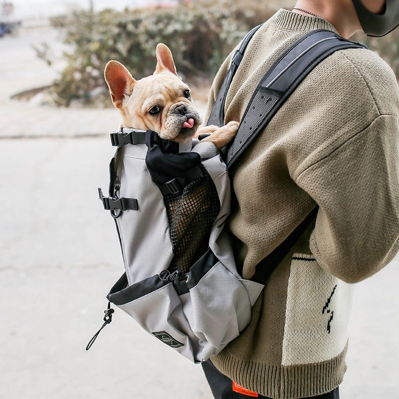 Dog Carrier Backpack for Travel
